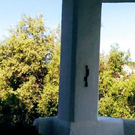 Bella Jacaranda Agosto Solo Por Quincenas Apartmán Marbella